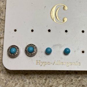 2 pair Turquoise Stud Earrings